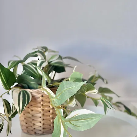 Ocean View Haven, Perla Del Mar Διαμέρισμα Costa Adeje (Tenerife)