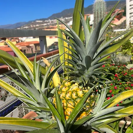 Ocean View Haven, Perla Del Mar Daire *