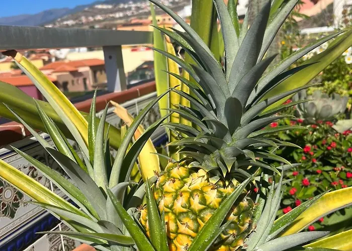 Ocean View Haven, Perla Del Mar Daire *