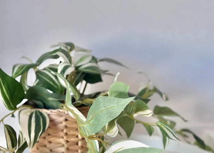 Ocean View Haven, Perla Del Mar Daire Costa Adeje