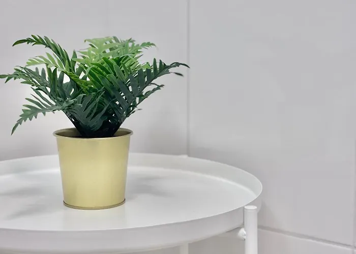 Daire Ocean View Haven, Perla Del Mar